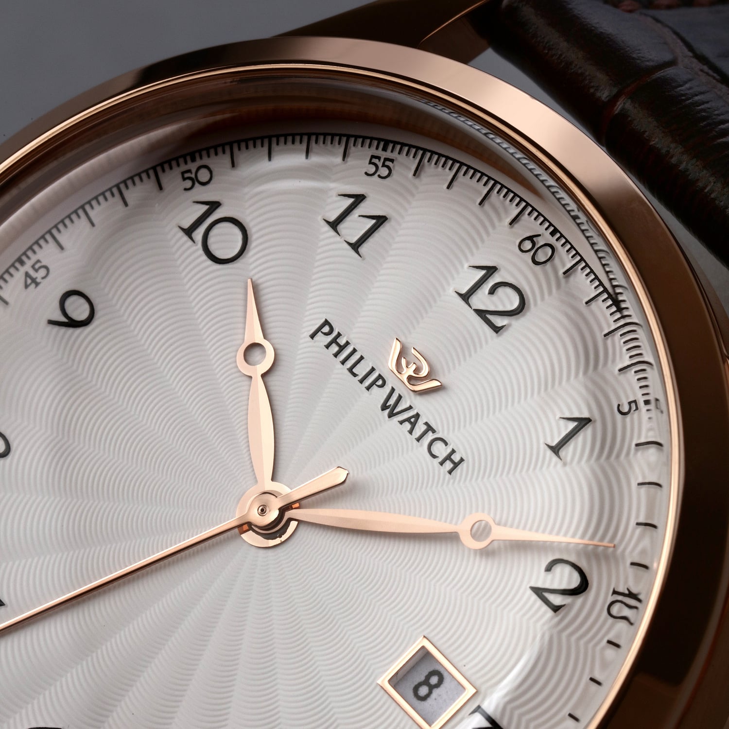 Date & Time Watch for Male Philip Watch R8253225002 2026 Museum