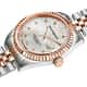 Philip Watch Watches Caribe - R8253597608