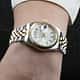 Orologio Philip Watch Caribe - R8253107519