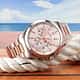 OROLOGIO PHILIP WATCH AMALFI - R8273618005