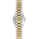 PHILIP WATCH CARIBE URBAN WATCH - R8253597669