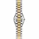OROLOGIO PHILIP WATCH CARIBE URBAN MINI - R8253597687