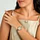RELOJ PHILIP WATCH CARIBE URBAN MINI - R8253597684