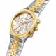 RELOJ PHILIP WATCH WINDSURF - R8273633004